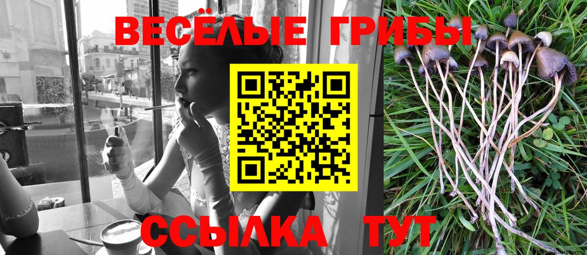 Трёхгорный  Псилоцибиновые грибы Cubensis  Галлюциногенные грибы прущие грибы  Вход с VPN 